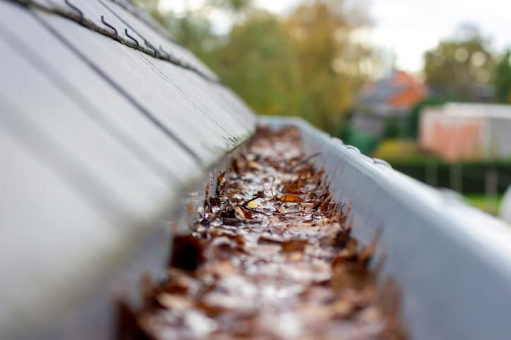 Importance of Gutter Guards in Madison WI