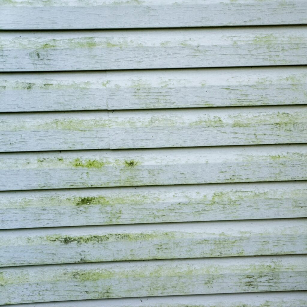 Vinyl Siding Mold Repair Madison WI Siding Contractor