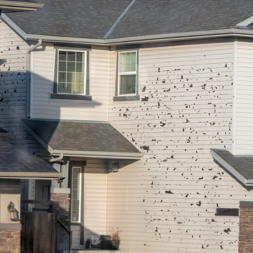 Roofing and Siding Contractors Madison WI Siding Damage