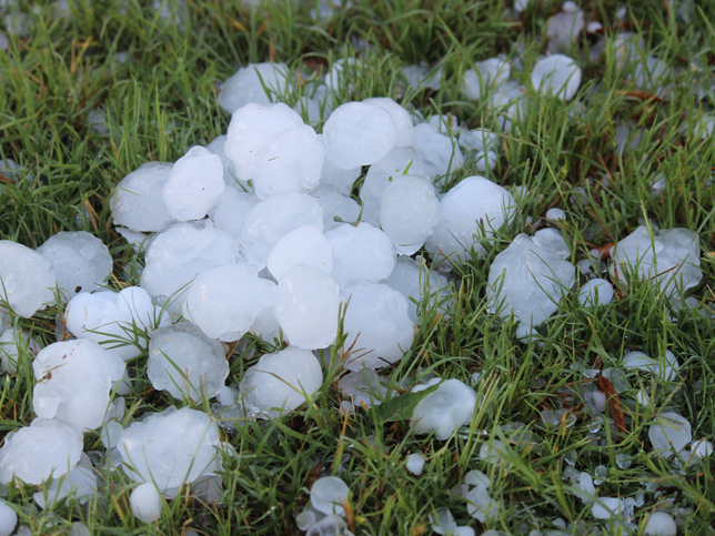 Golf Ball Sized Hail Roofing and Siding Repair Madison