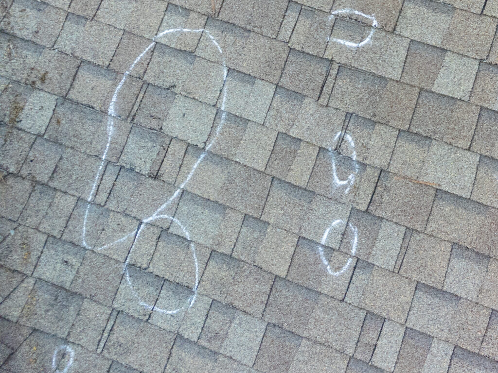 Hail Damage Roofers Roofing Repair Madison WI